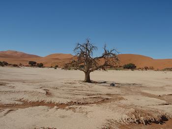 sossusvlei-