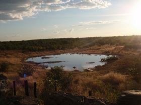 waterhole