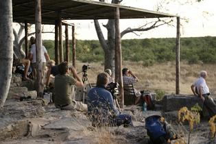 Waterhole-publiek